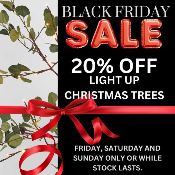 <p>Hurry into Sassy my Style and get 20% off Light up Christmas Trees.</p>
<p>Only available Friday, Saturday and Sunday while stocks last</p>

